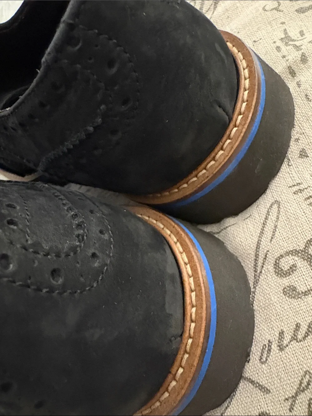 Bruno Magli Black Velvety Suede Wingtip Derbys with Blue Laces - 10.5 Men’s